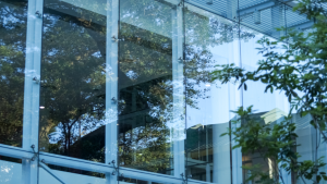 Commercial Glass Replacement Contractor in East Chicago, Indiana